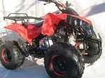 Atv Nou Yamaha Grizzly 250, fabricat in 2013 Germania