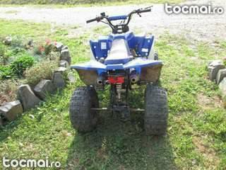 ATV Bashan 125cc, 2010