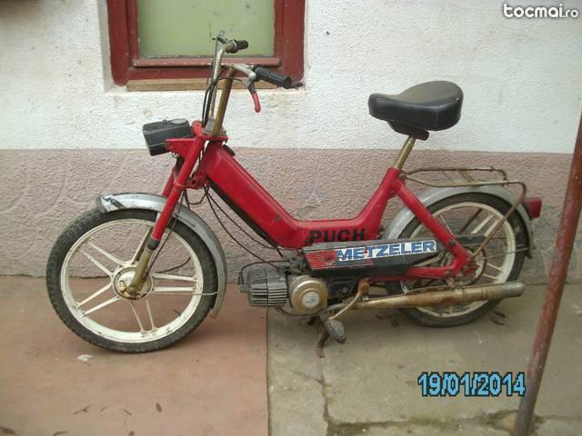 Puch maxi, 1984