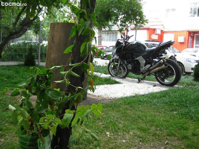 Kawasaki Z1000, 2009 cu genti laterale Blaze
