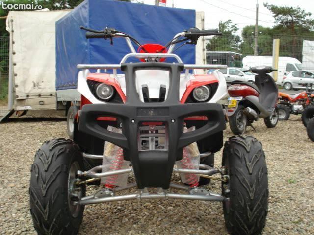 Gorilla ulltra , 2014