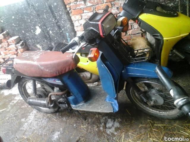 scuter honda