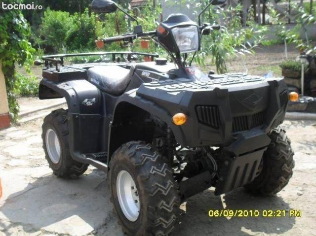 Bashan 4x4 300cc, 2010