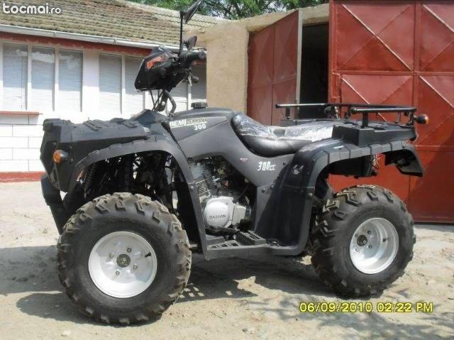 Bashan 4x4 300cc, 2010