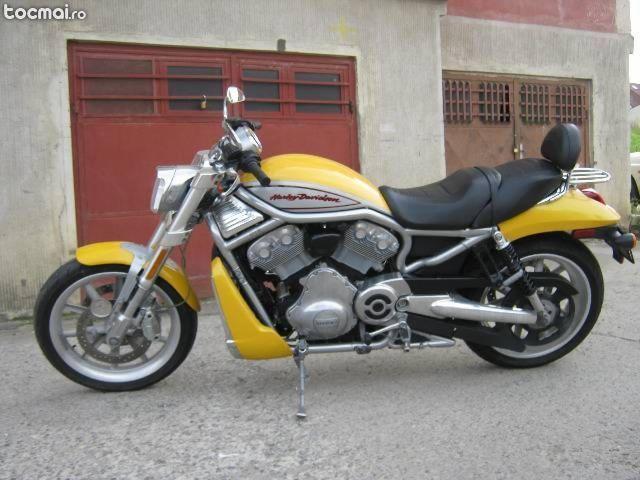 Harley- Davidson V- Rod