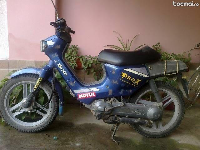 Honda Albastru, 1992