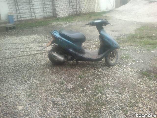 Honda zxbio, 2005