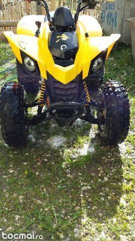atv can am 250 ds