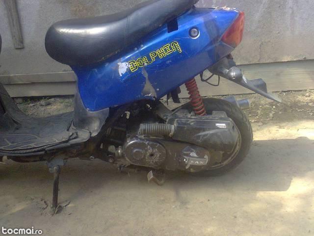 Lifan lifan, 2009