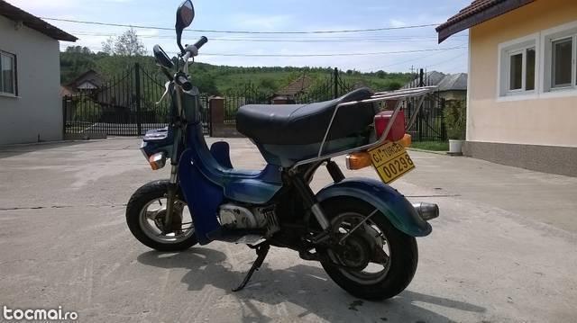 Suzuki Moped