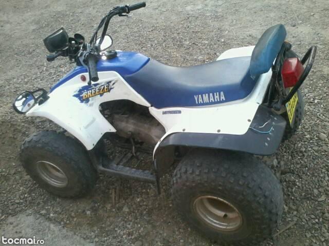 Yamaha breeze, 2002