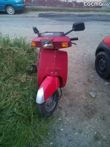 honda lead
