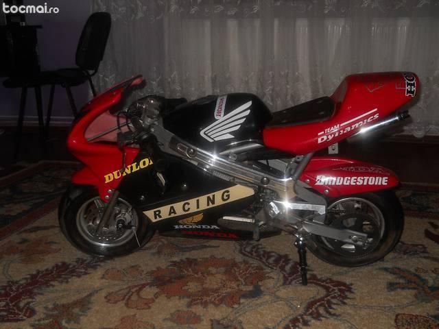 Honda poket bike, 2012