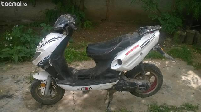 Scuter peda, 2008