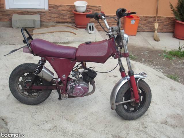 Minimotocicleta 2005