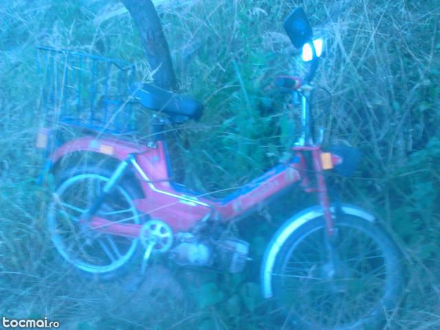 Puch, 2000