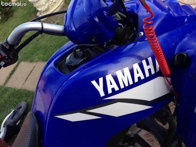 Yamaha raptor